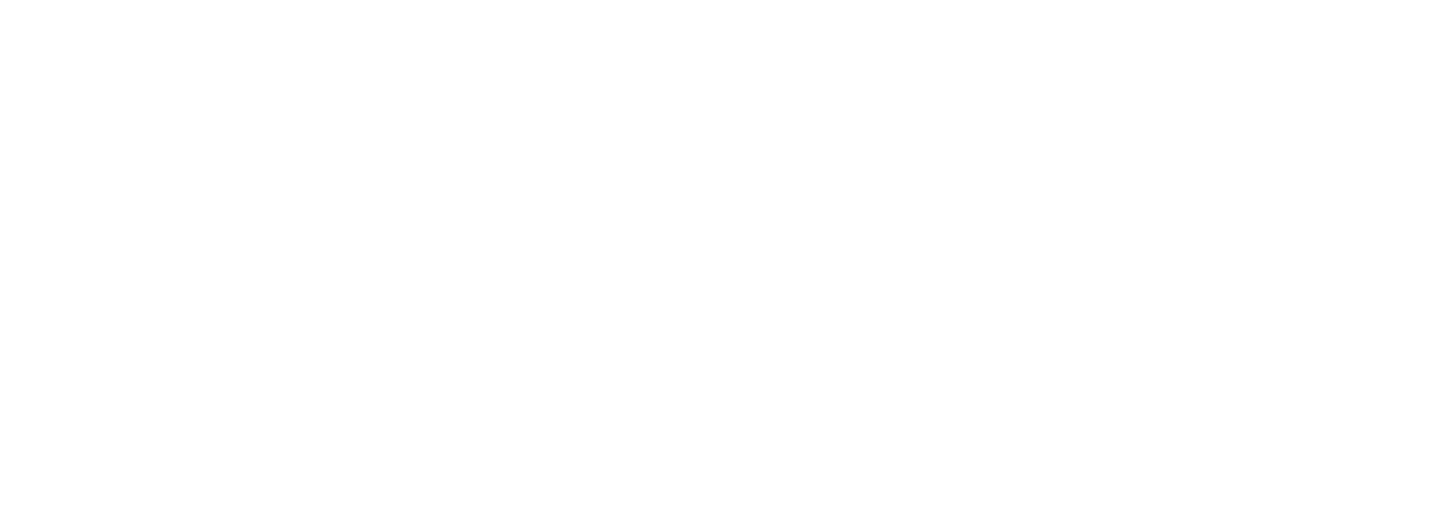 Woods Spine and Wellness Logo