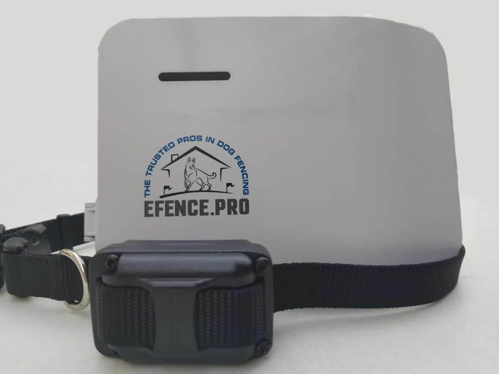 E-Fence Pros Underground Dog Fence