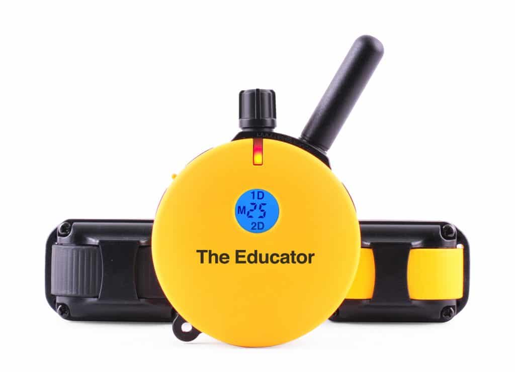 Dog Collar Remote Training System