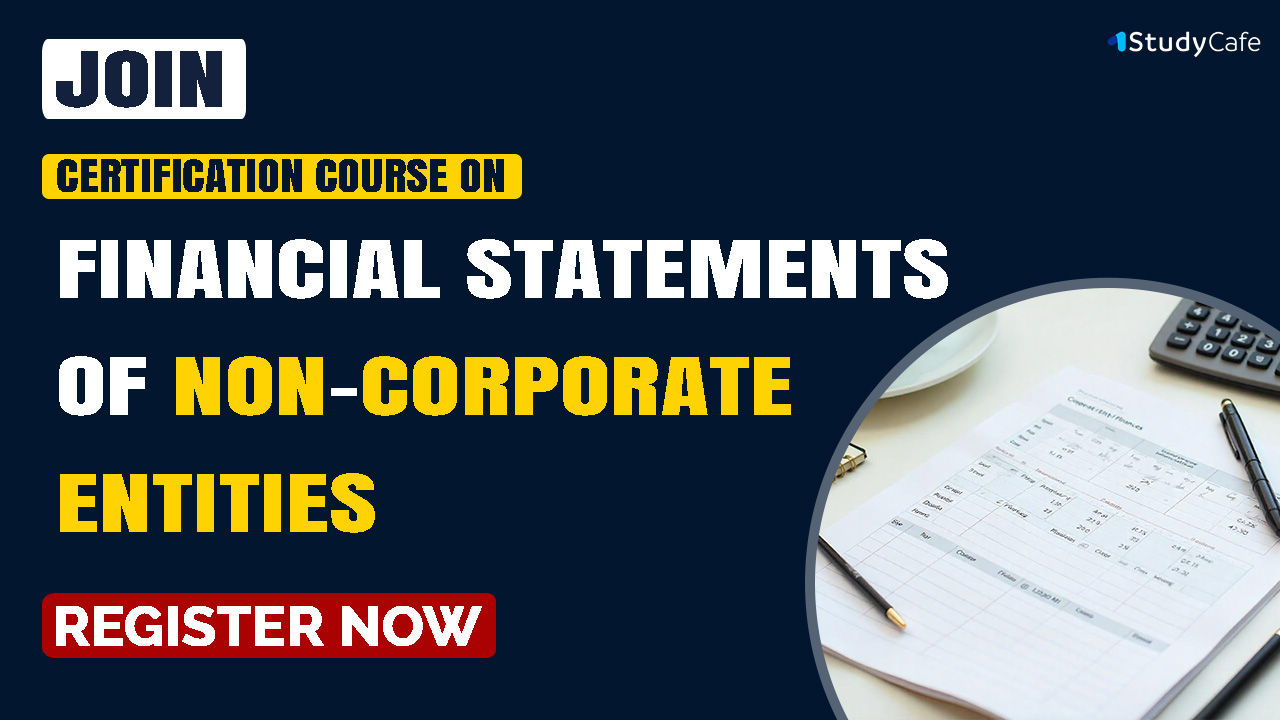 Financial Statements for Non-Corporate Entities