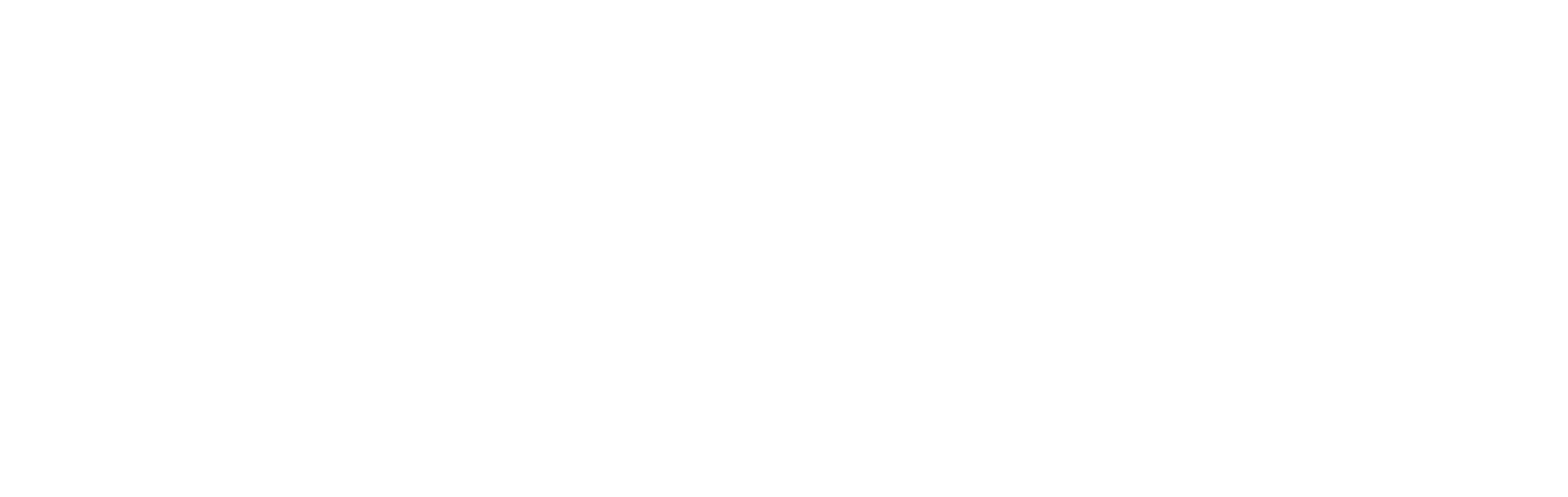 CapitalSource Logo