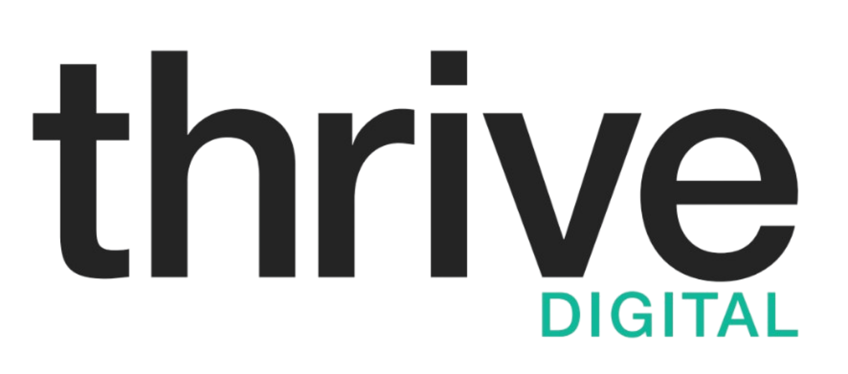 Thrive Digital — Digital Growth Experts