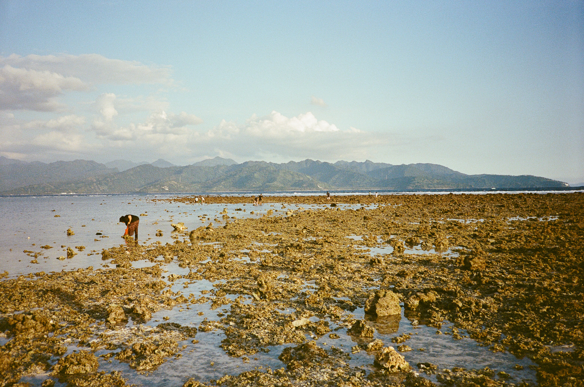 Land of the Sasak - Tidal Flat at Low Tide with Mountains