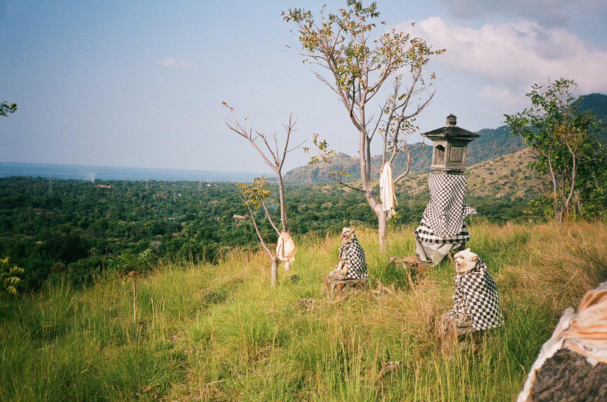 Island of the Gods - Shrine with Checkered Cloth and Guardian Statues