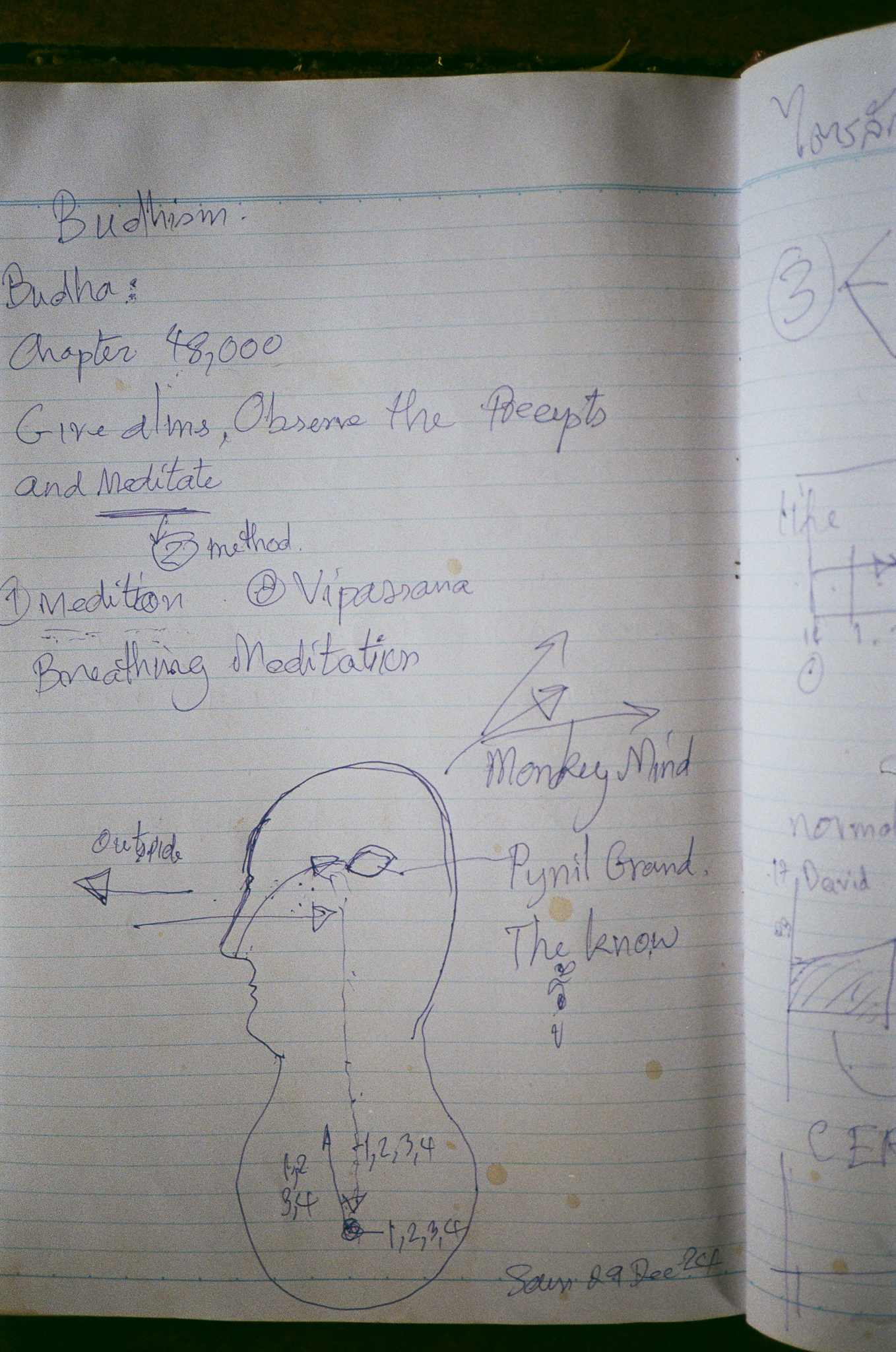 Golden moments in Thailand - Buddhism Meditation Notebook Sketch