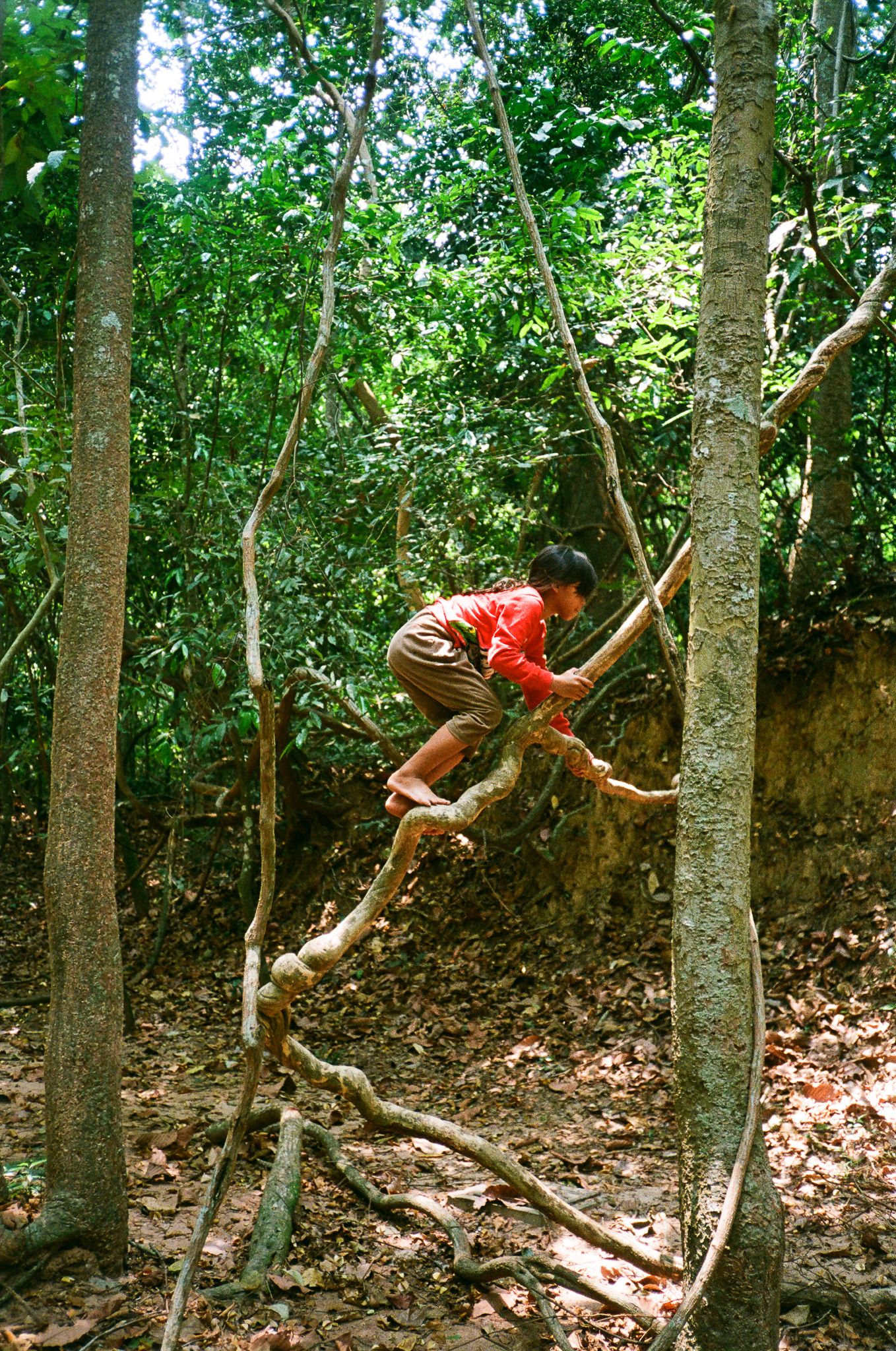 Angkor - Child on Tree Roots