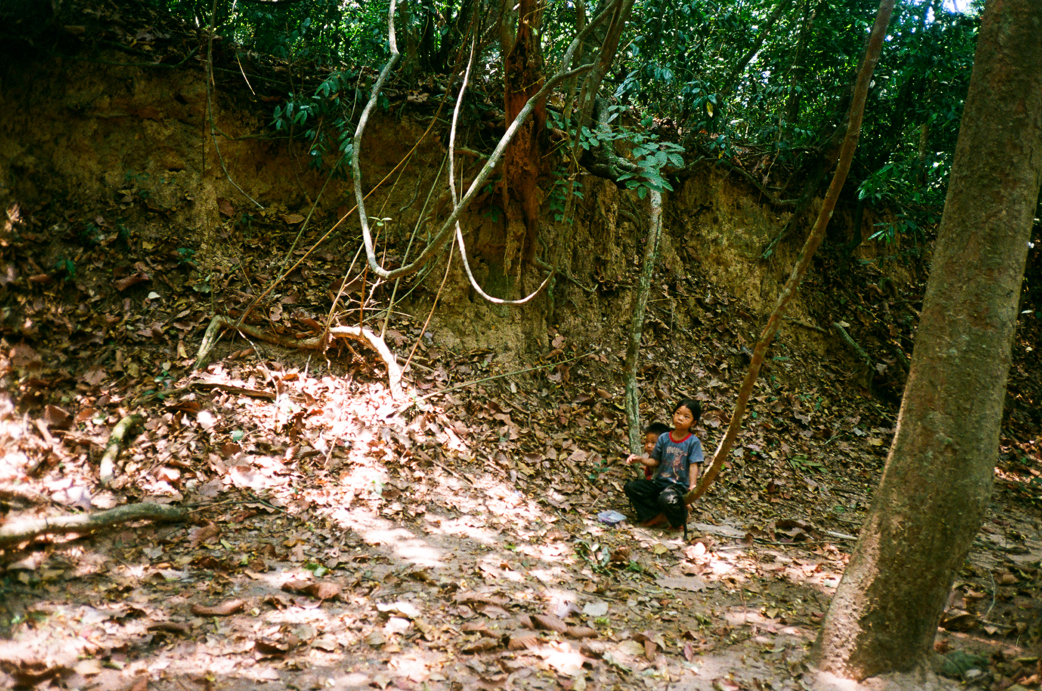 Angkor - Children in Forest