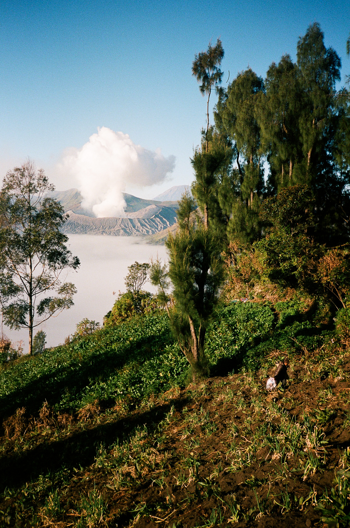 Echoes of Bromo