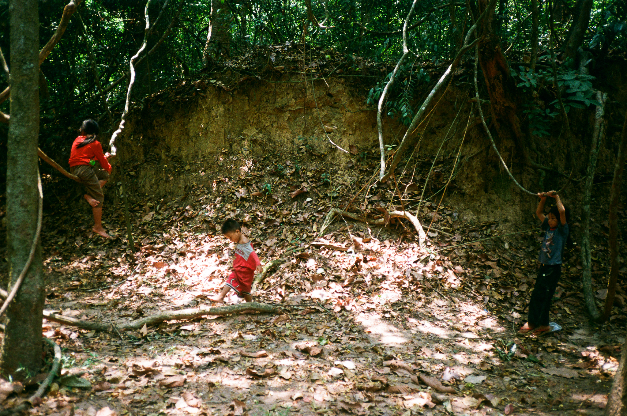 Angkor - Children in Forest Playing