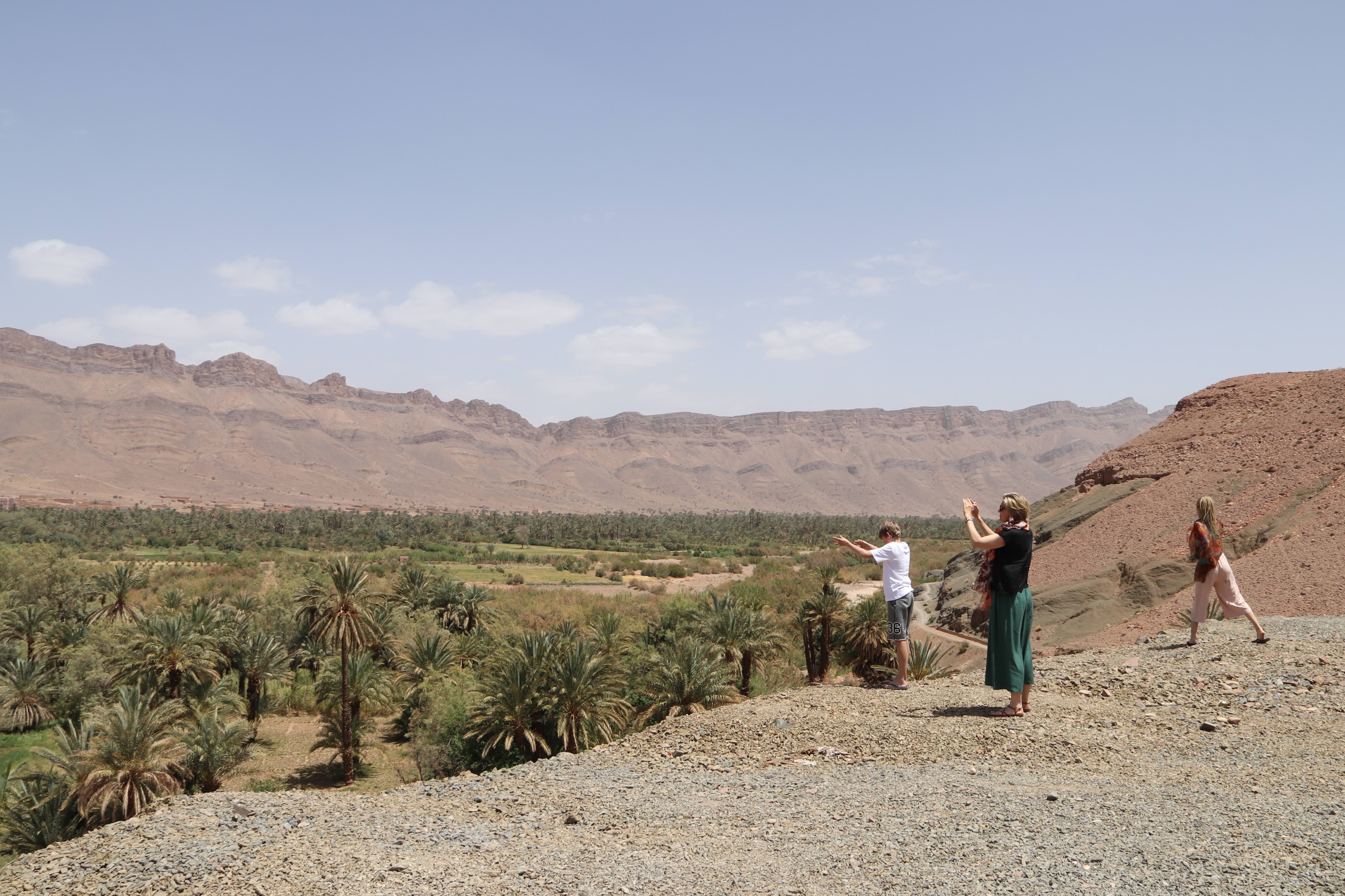 Morocco 2018 - Overlooking Palm Oasis and Mountains