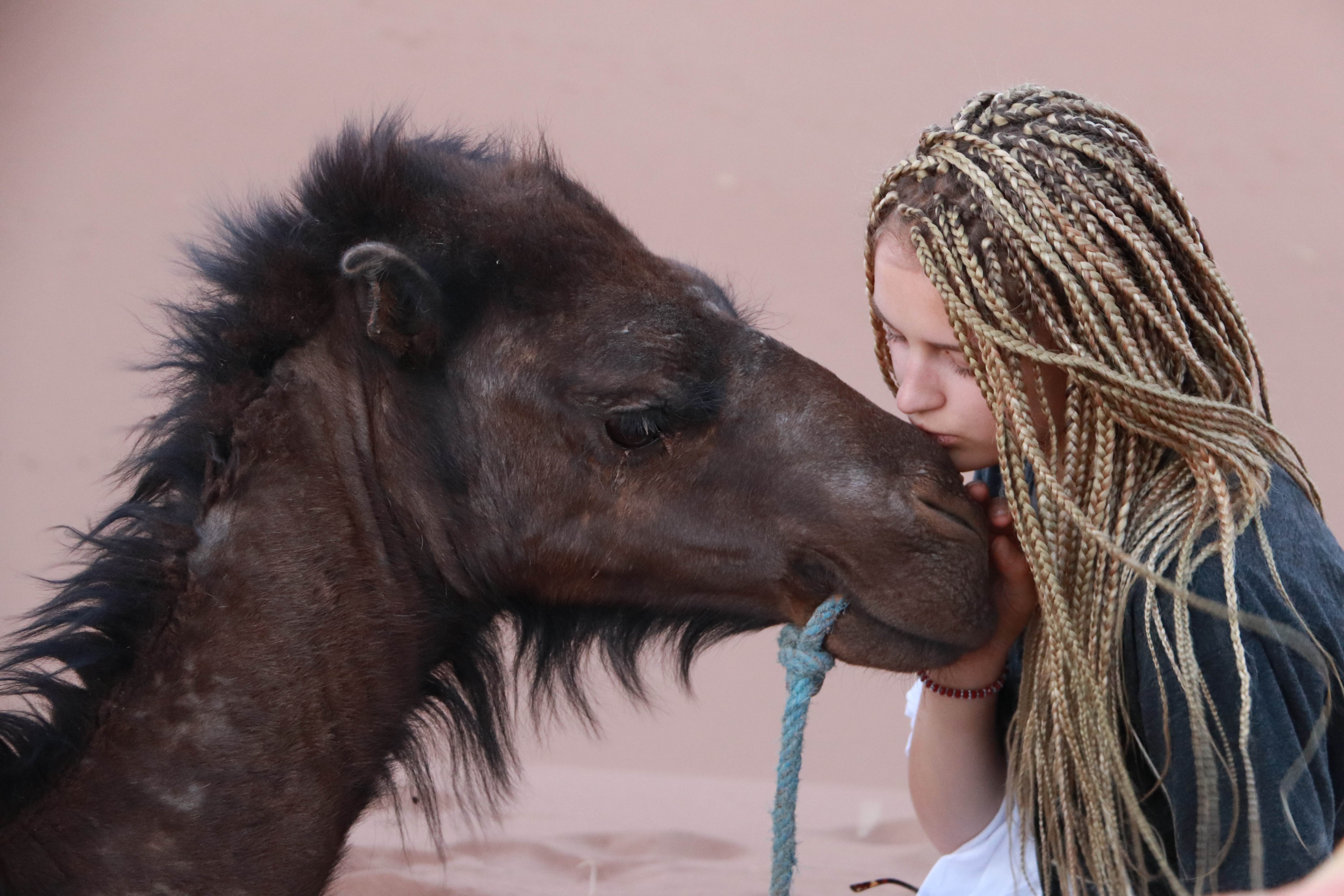 Morocco 2018 - Girl with Braids and Baby Camel