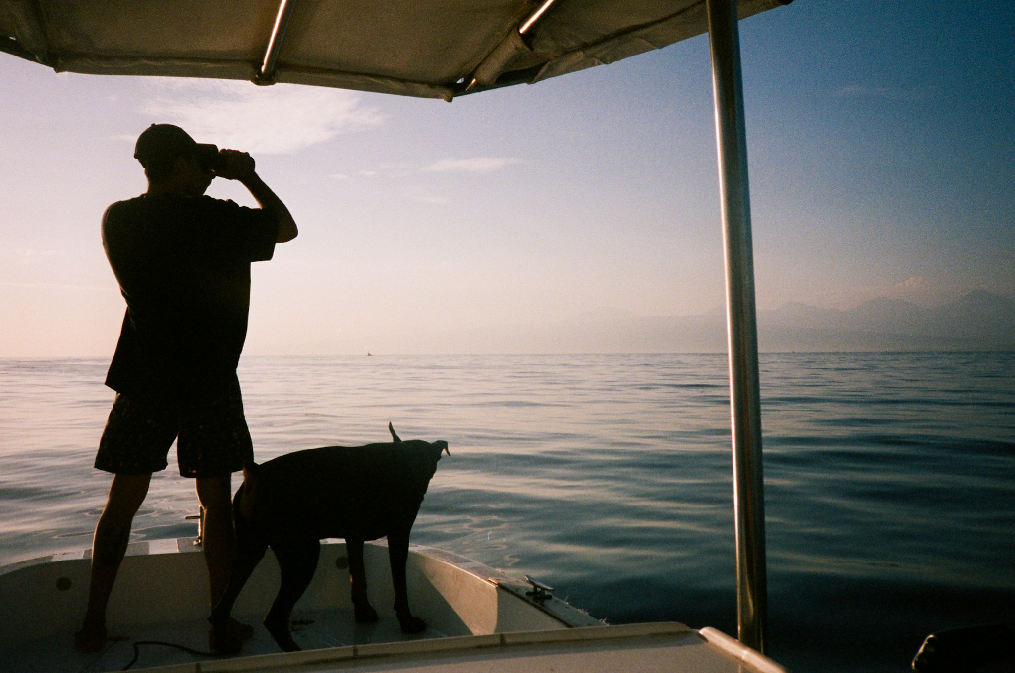 Island of the Gods - Man and Dog on Boat