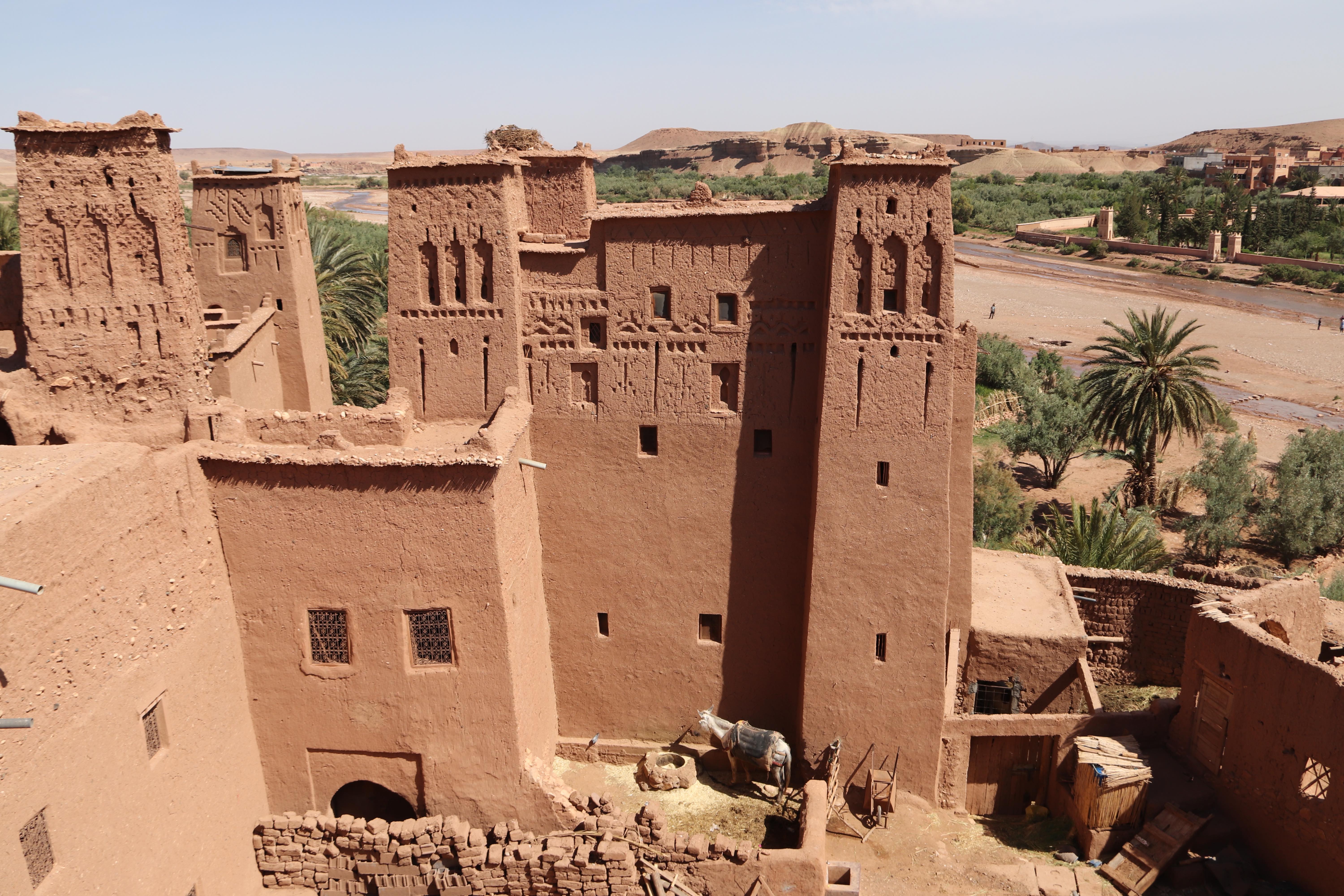 Morocco 2018 - Clay Kasbah Towers with Donkey in Courtyard
