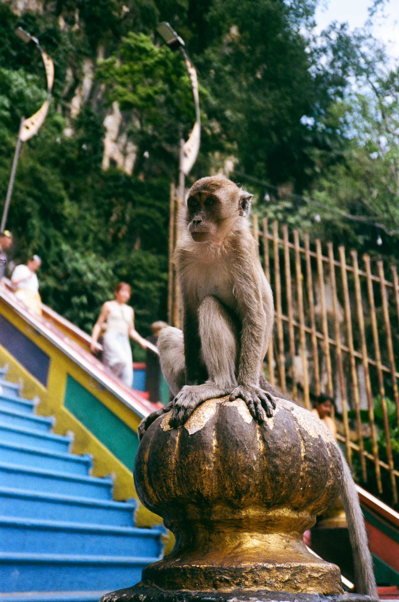 Thaipusam Monkey Statue