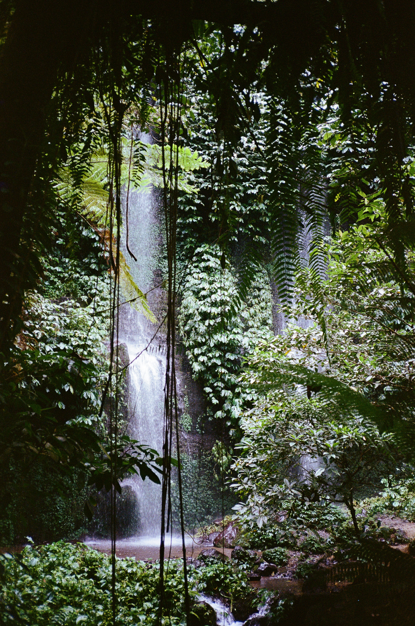 Lombok Waterfall