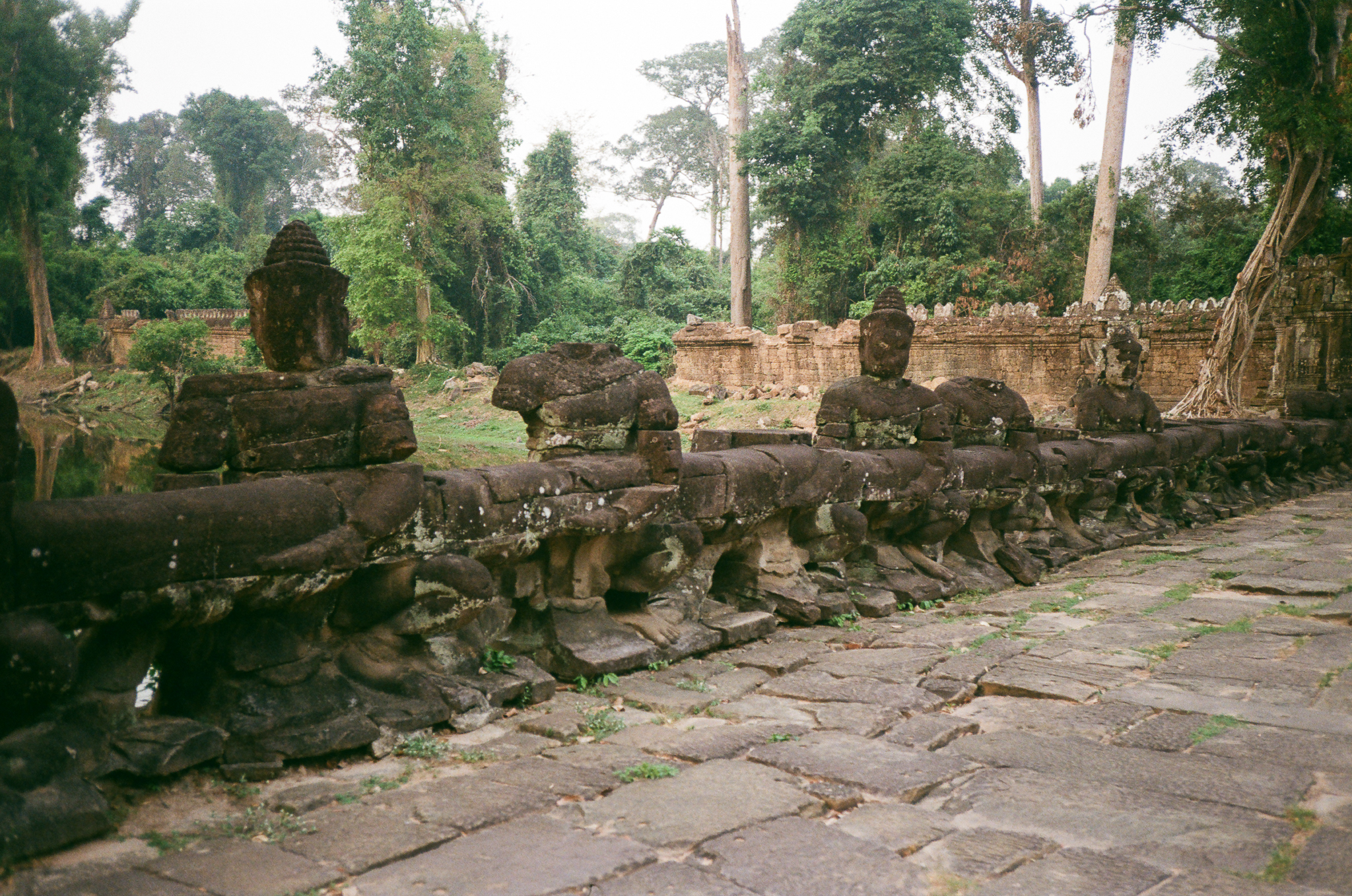 Angkor - Buddha Statues