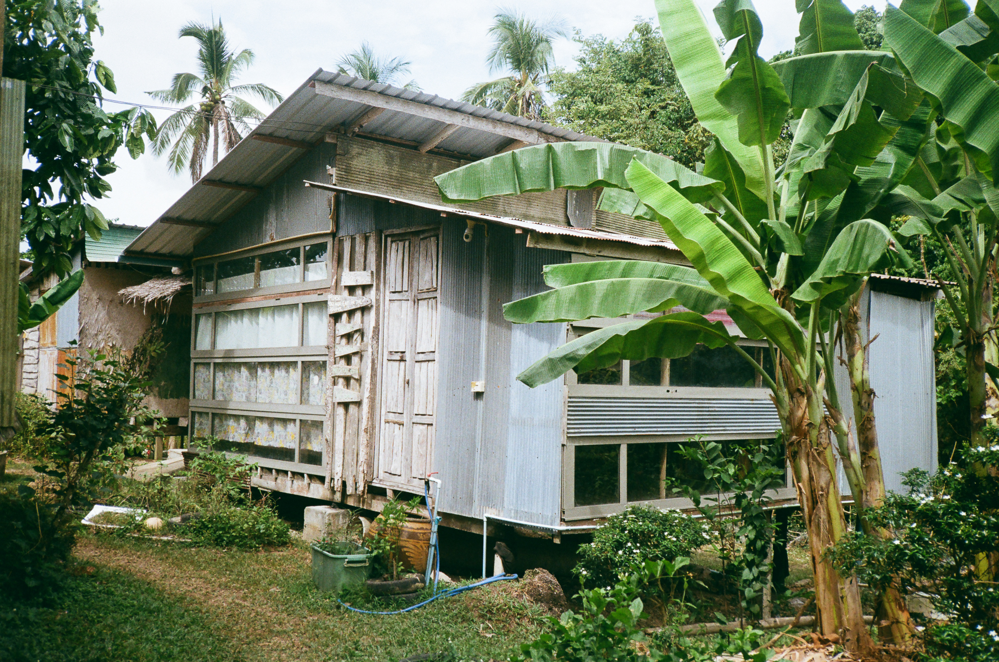 Golden moments in Thailand - Rustic House Banana Trees
