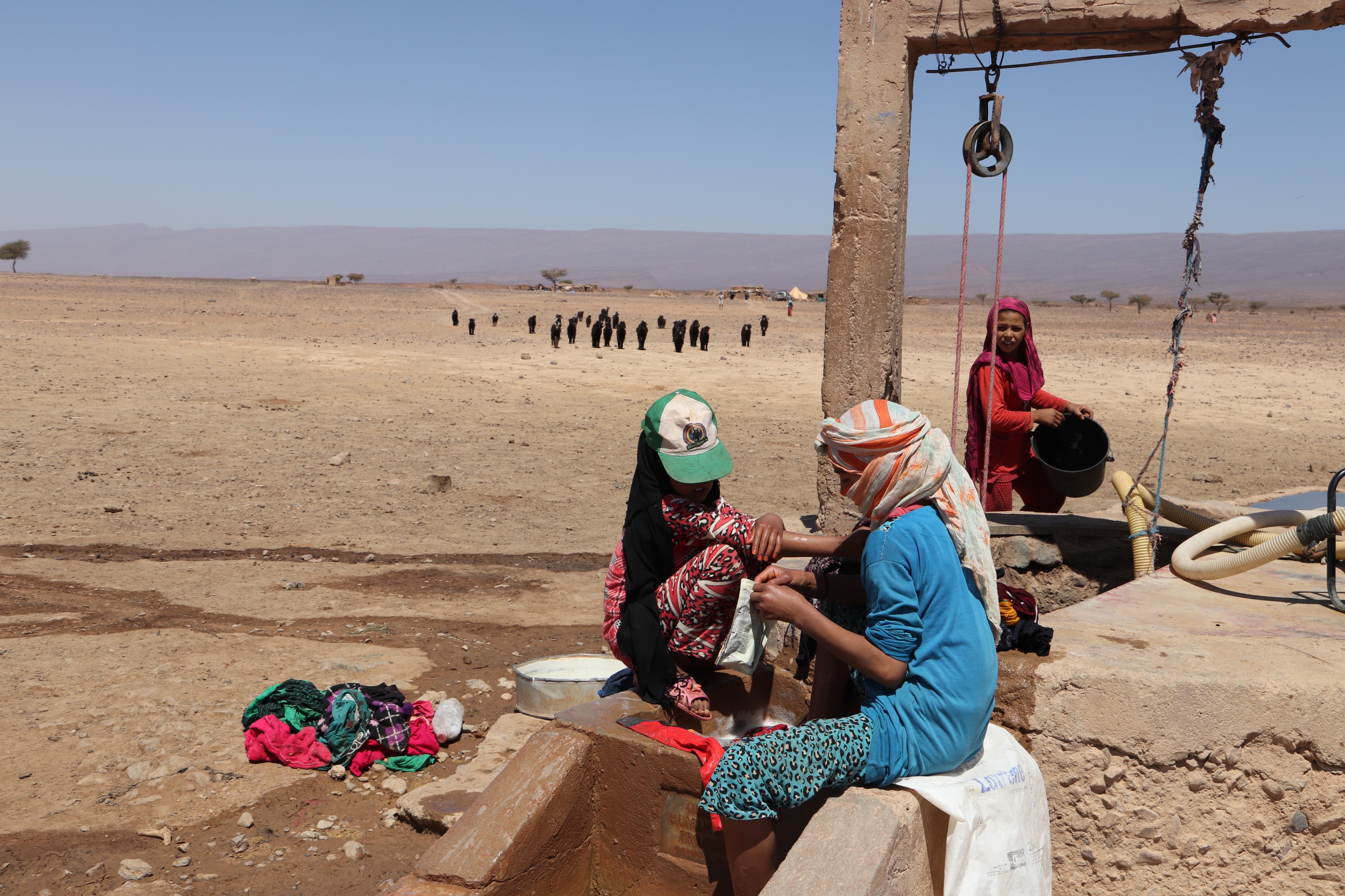 Morocco 2018 - Desert Well with Goats in the Distance