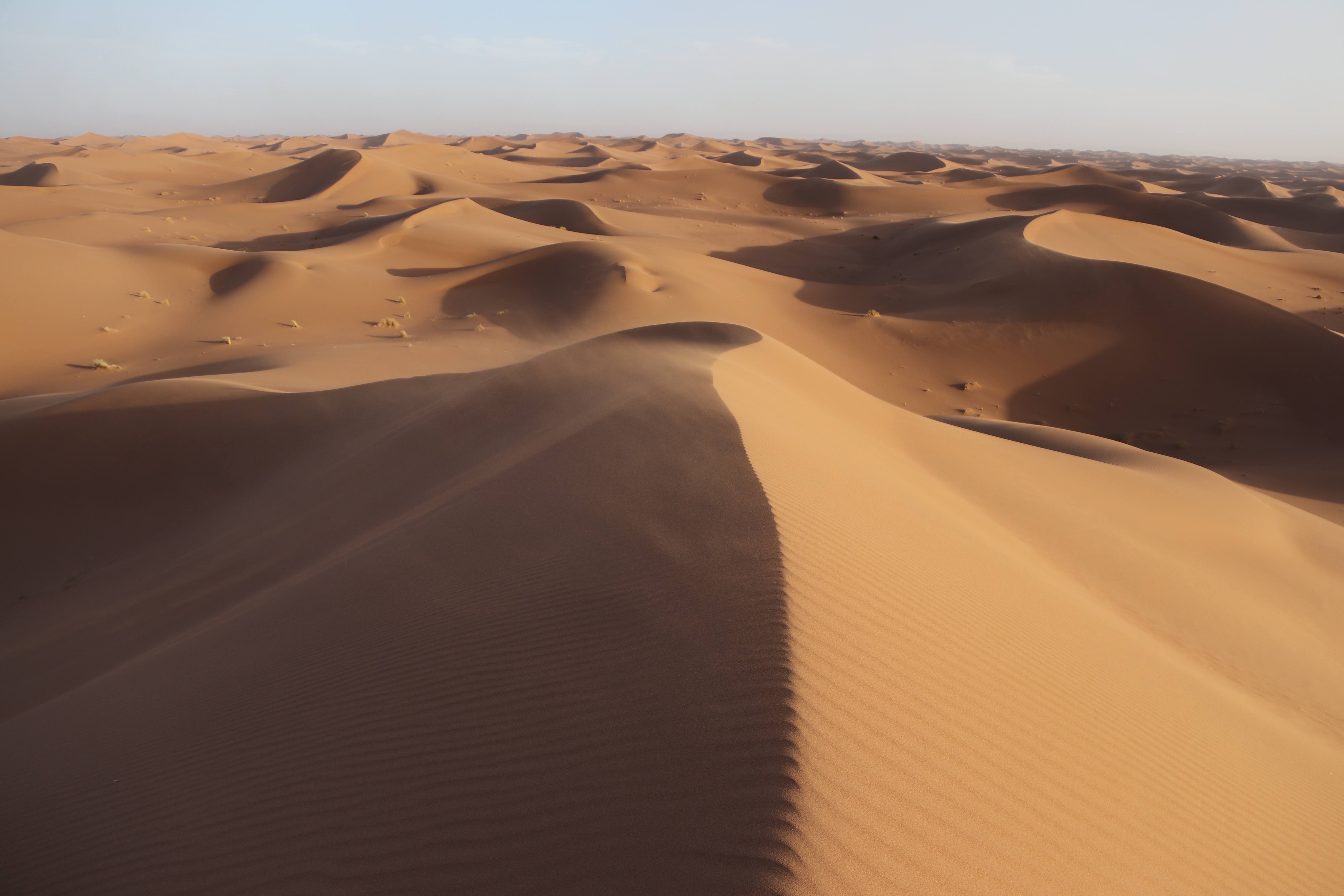 Morocco 2018 - Sweeping Sahara Sand Dunes Ridge