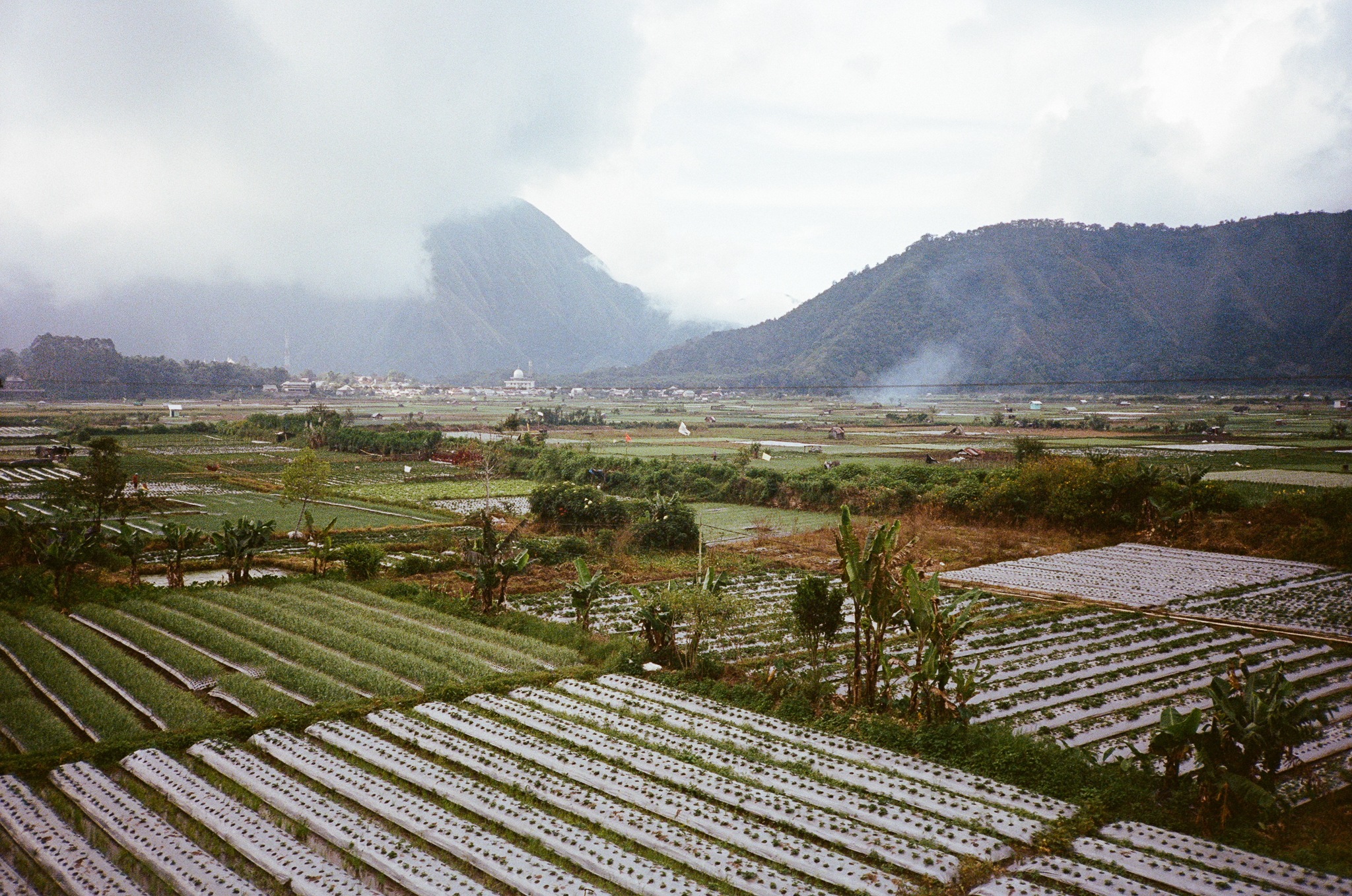 Lombok Valley