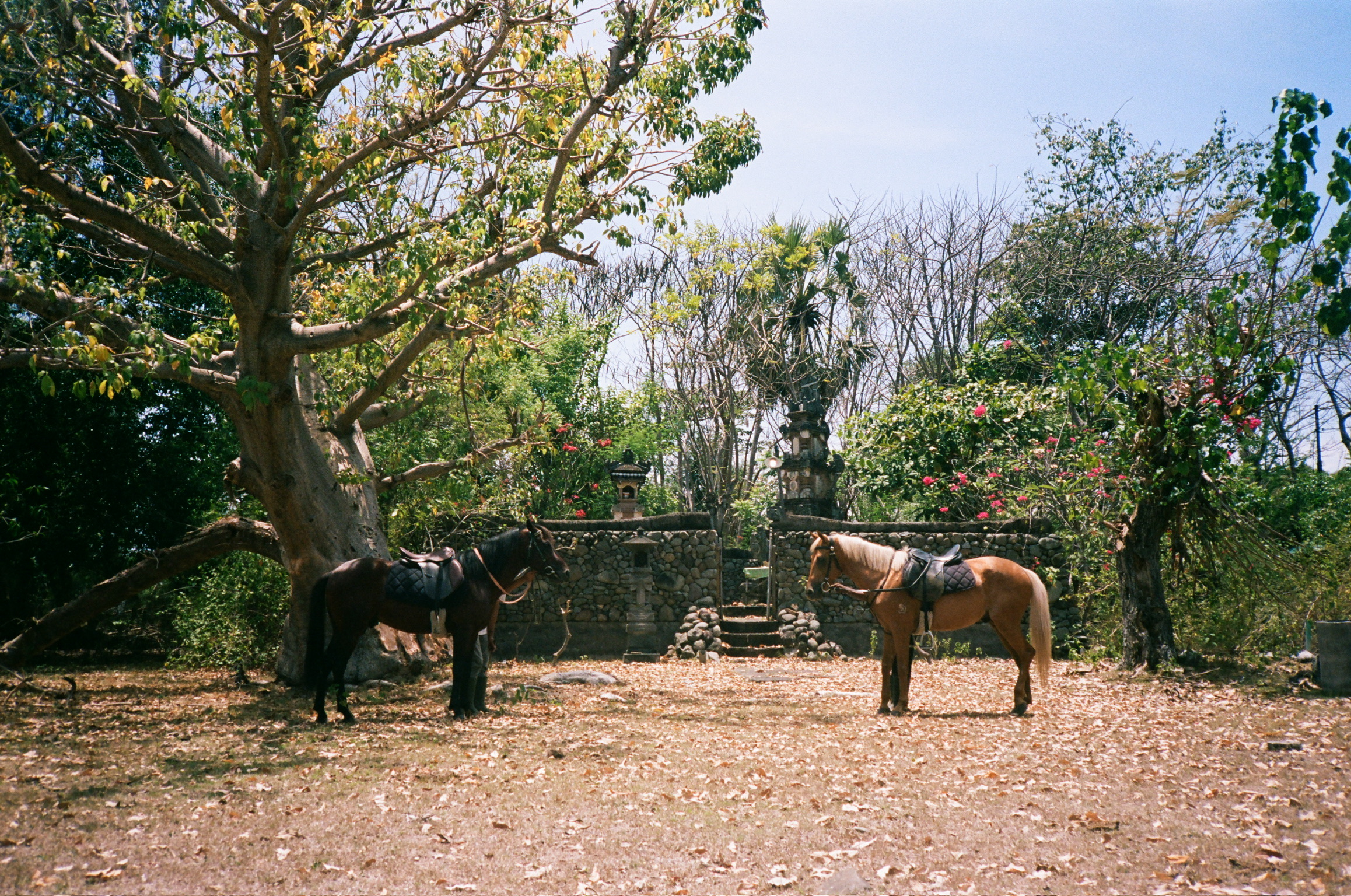 Island of the Gods - Two Horses by Temple Gate with Pagoda