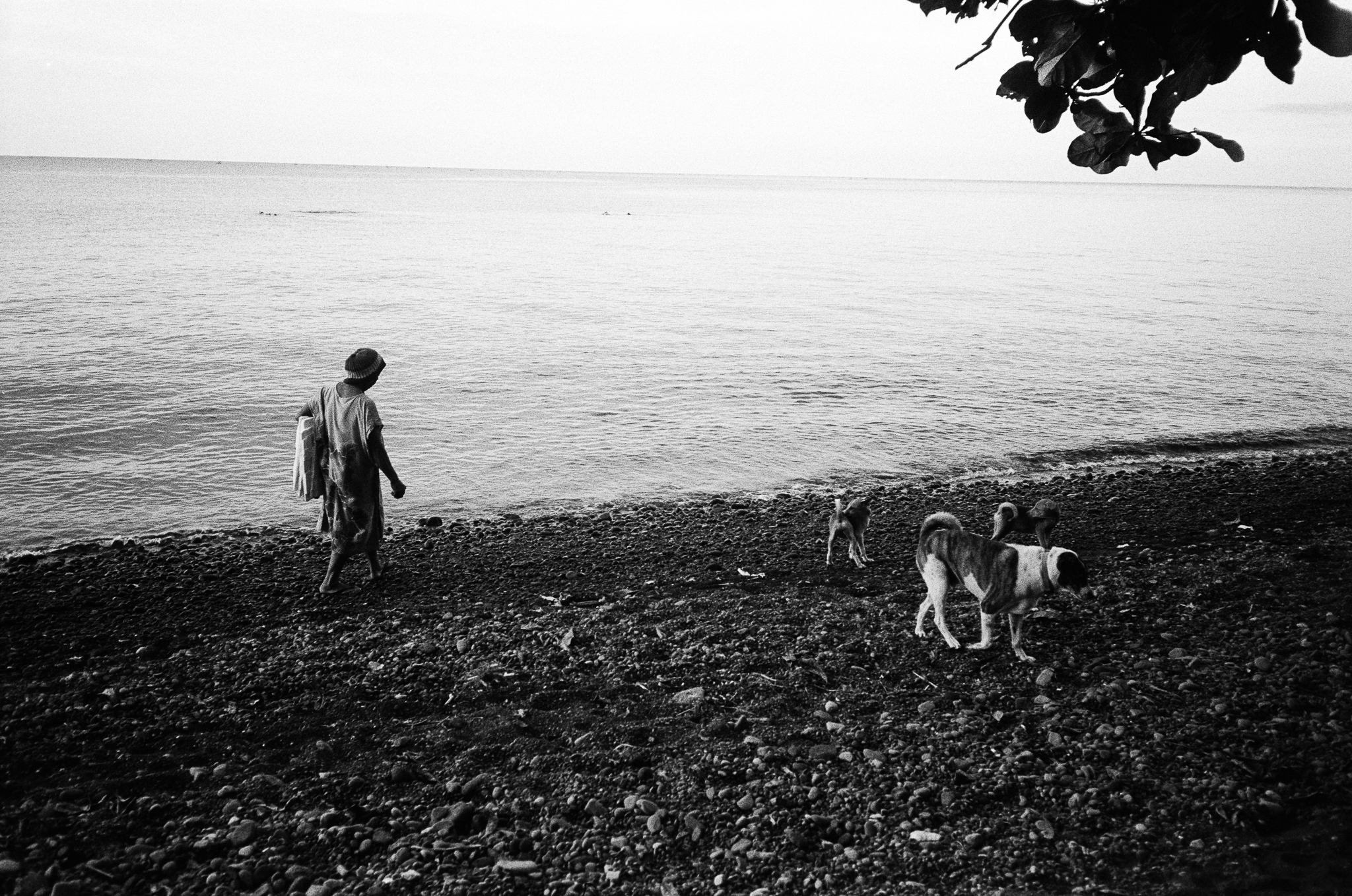 Brother and Sisterhood - Woman with Dogs on Beach