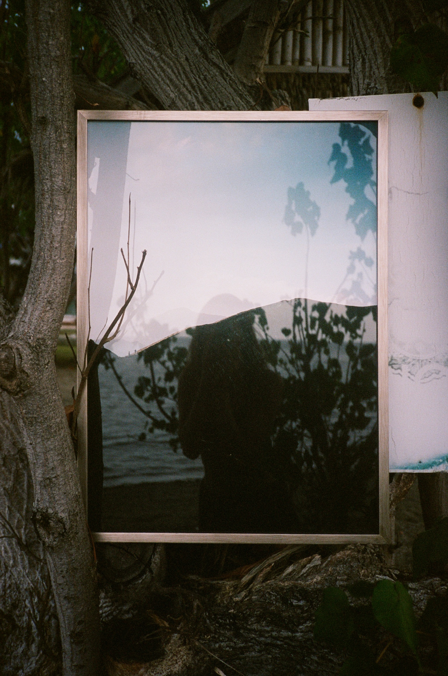 A framed fine art print displayed among trees, showing how the prints look in a natural setting