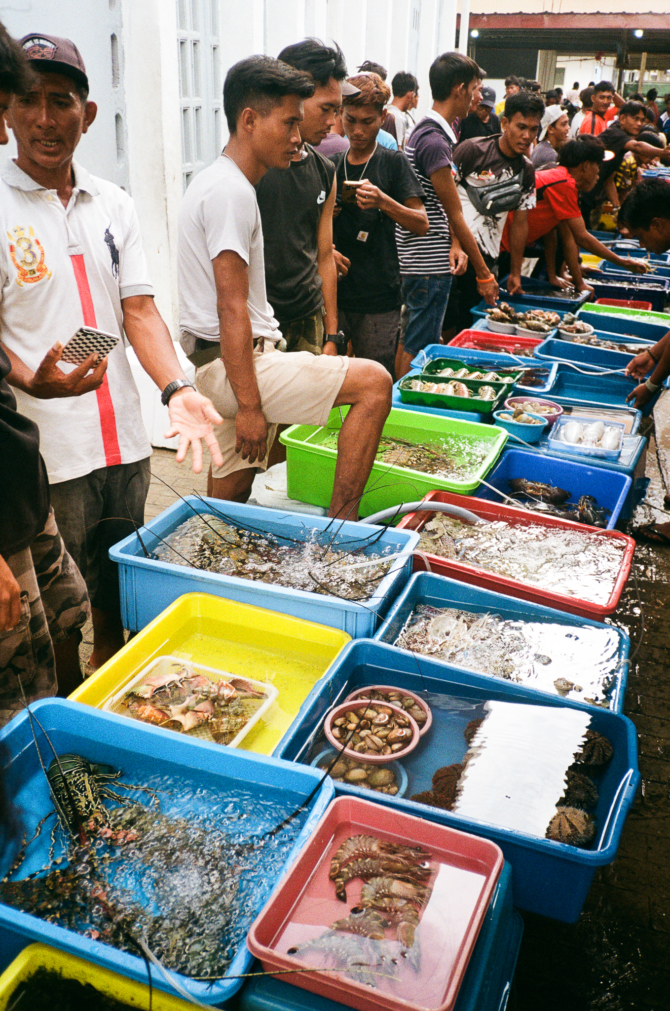 People of the Sea - Seafood Market Close-up