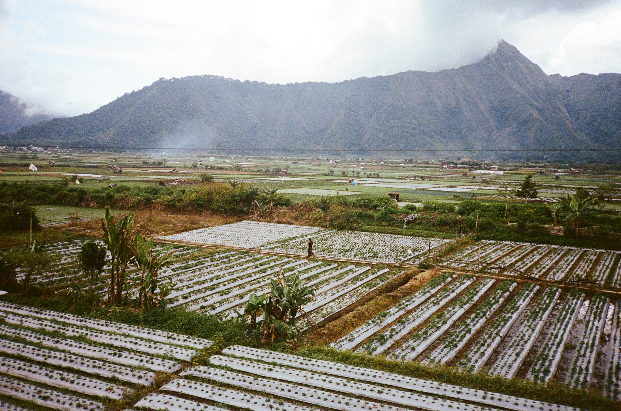 Land of the Sasak