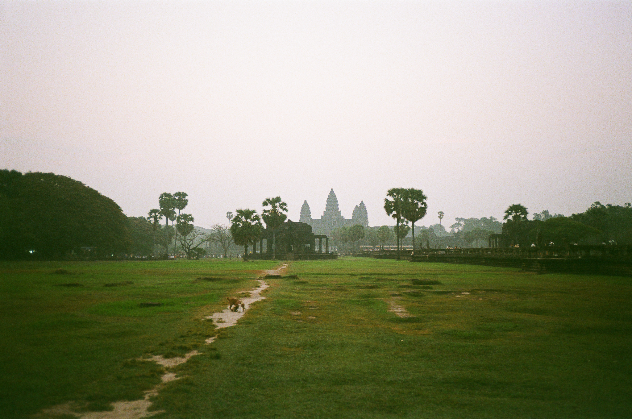 Angkor - Wide Temple View