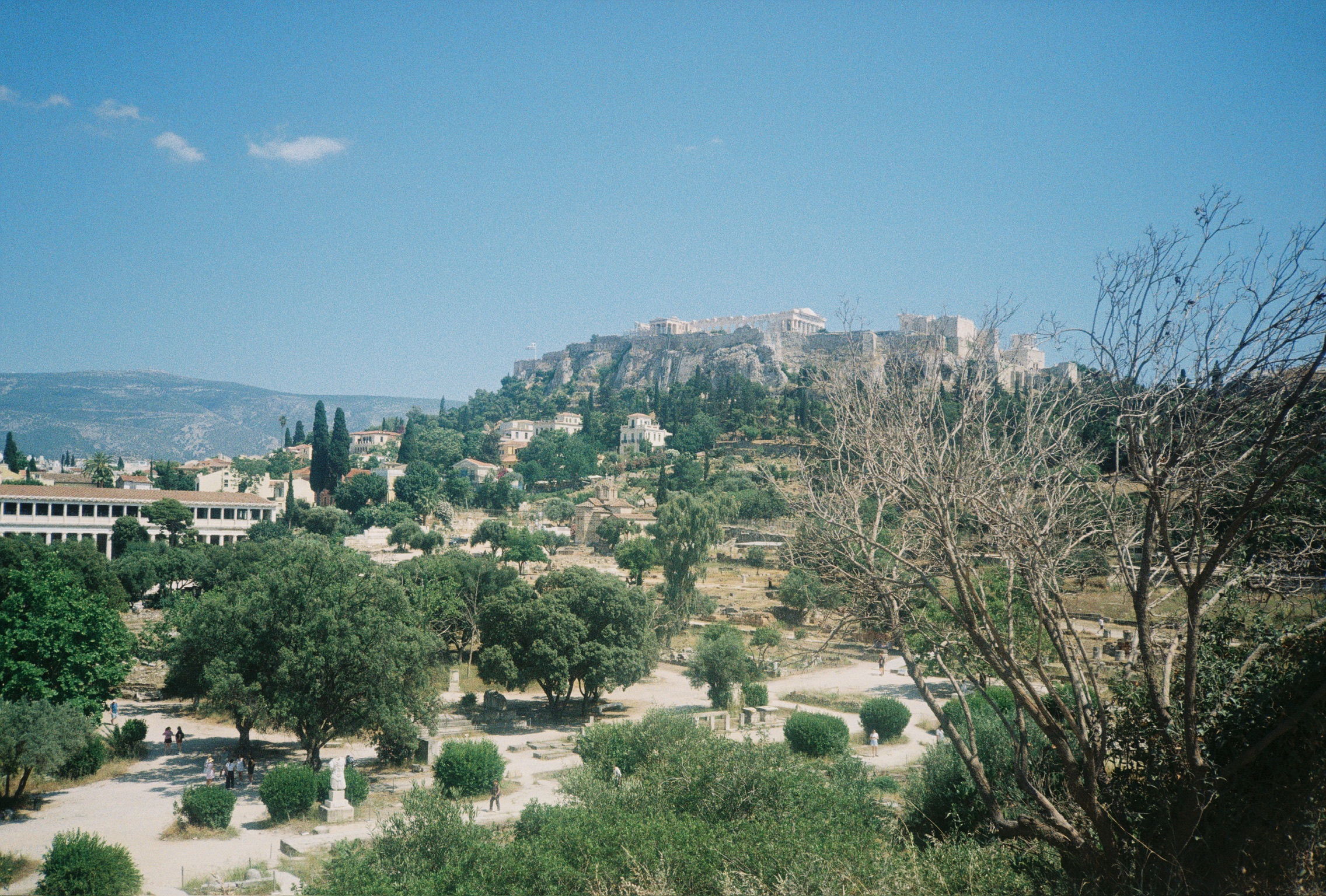 Stories of Greece - Acropolis Wide View with Trees in Foreground
