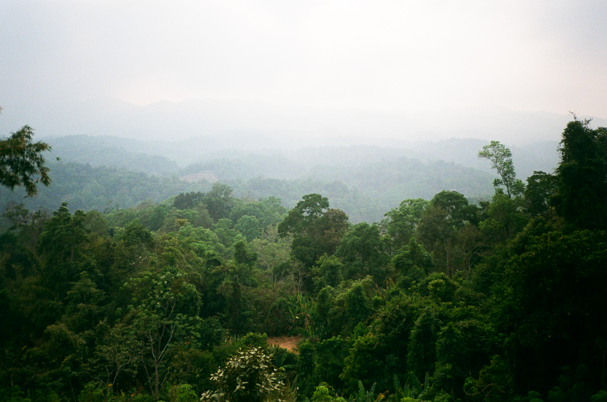 Golden moments in Thailand - Misty Jungle Mountain Landscape