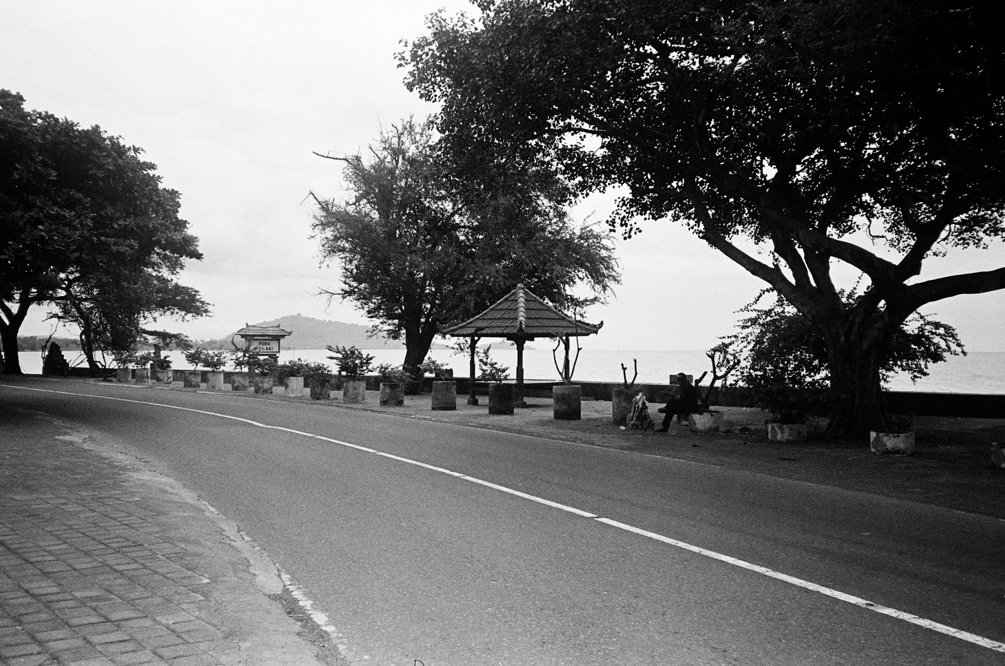 Island of the Gods - Coastal Road Trees Pavilion B&W