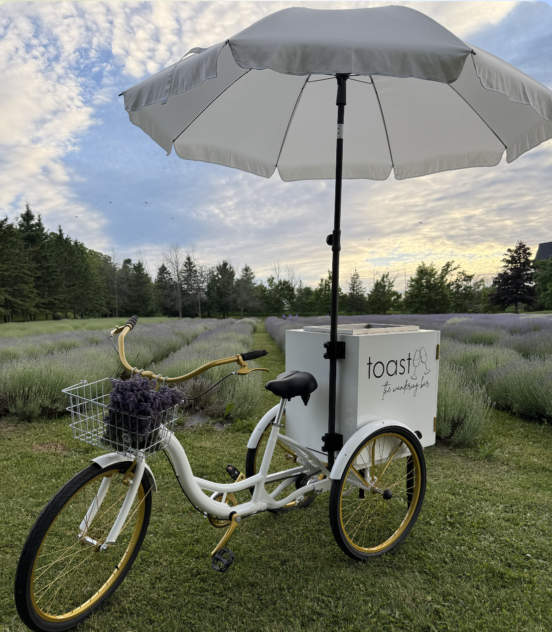 The Bubbly Bike