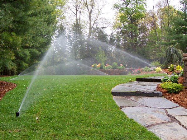 Lawn sprinkler system in action