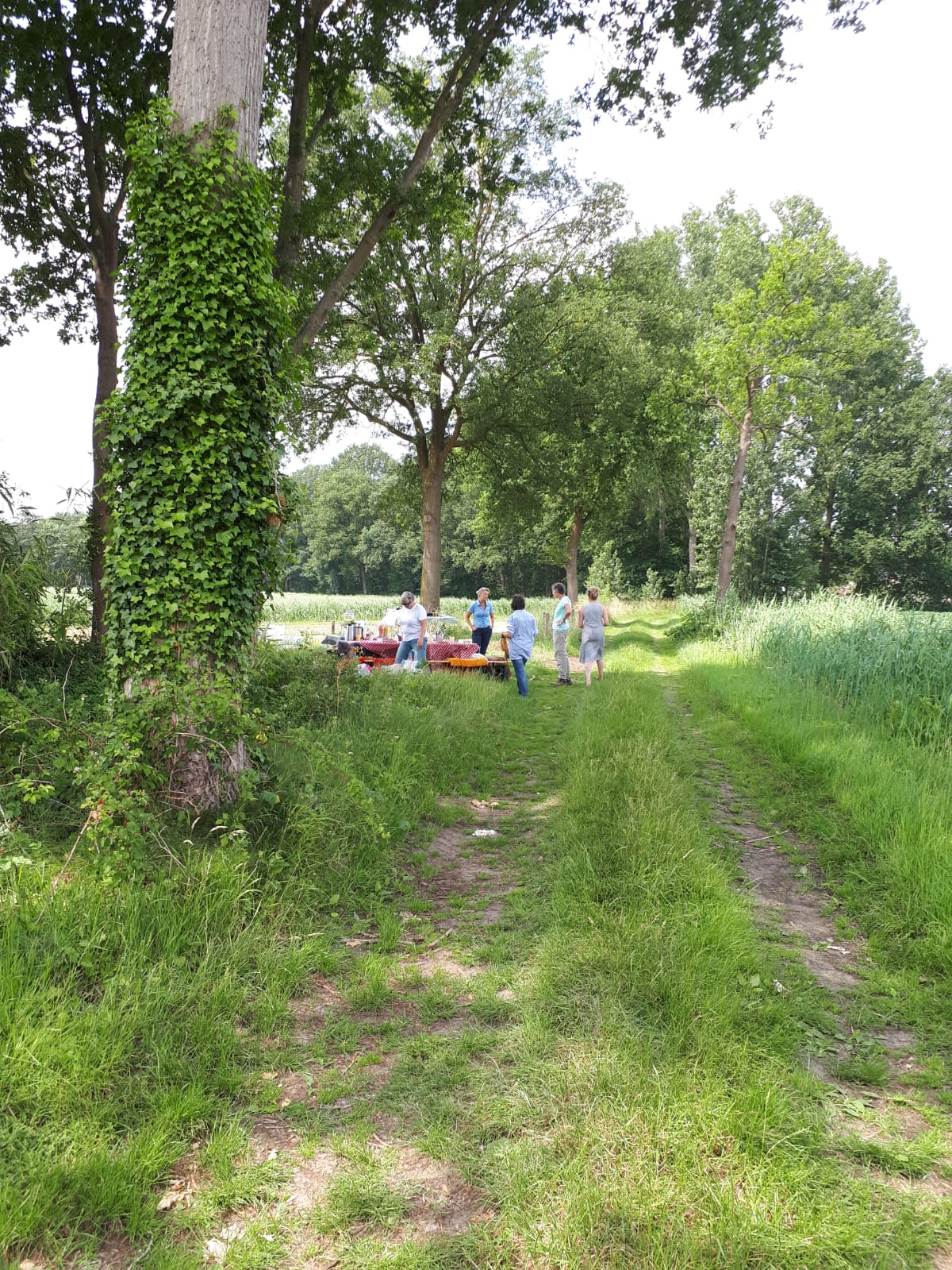 Galerij afbeelding 3