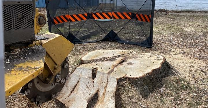 Stump Grinding/Removal in Hastings MN