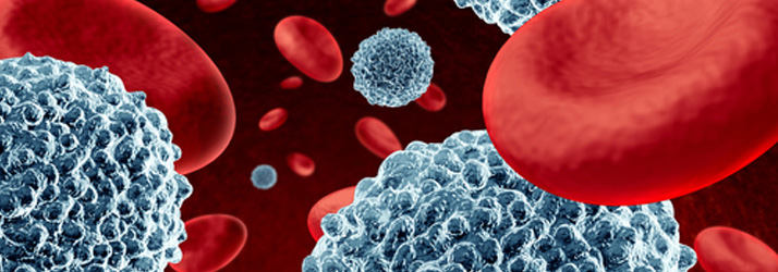 Meet Your Tiny Repair Crew In Downtown Chicago IL: PLATELETS