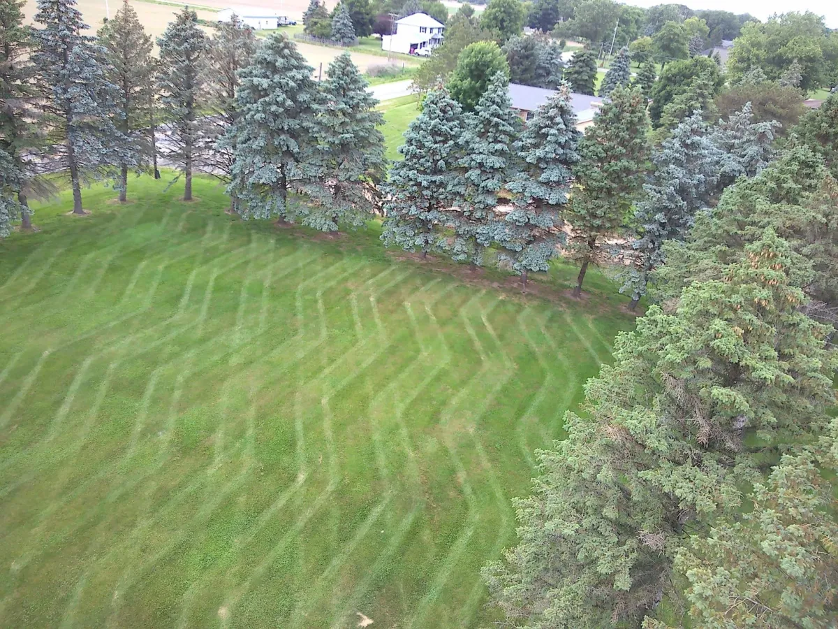 Lawn Maintenance