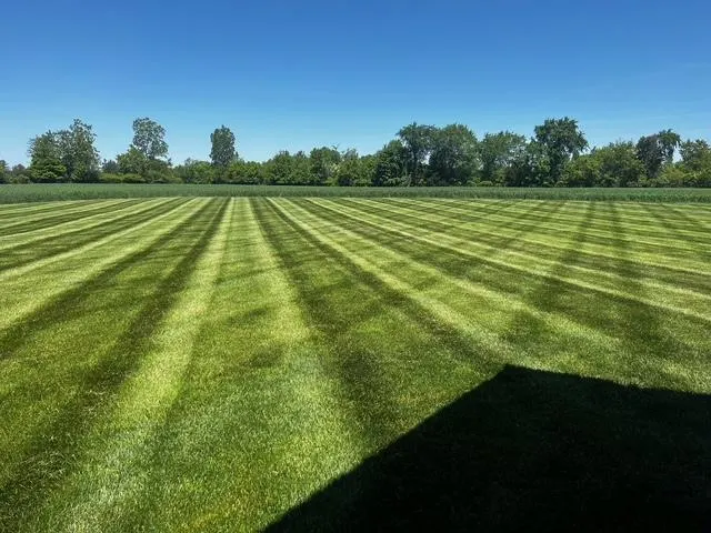 Lawn Mowing