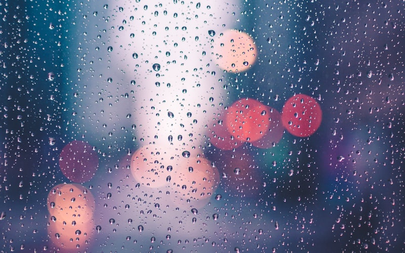 Cover image for Umbrella Insurance Explained: Extra Protection for Peace of Mind