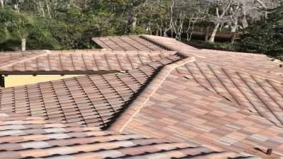 Specialized Services Roof Cleaning