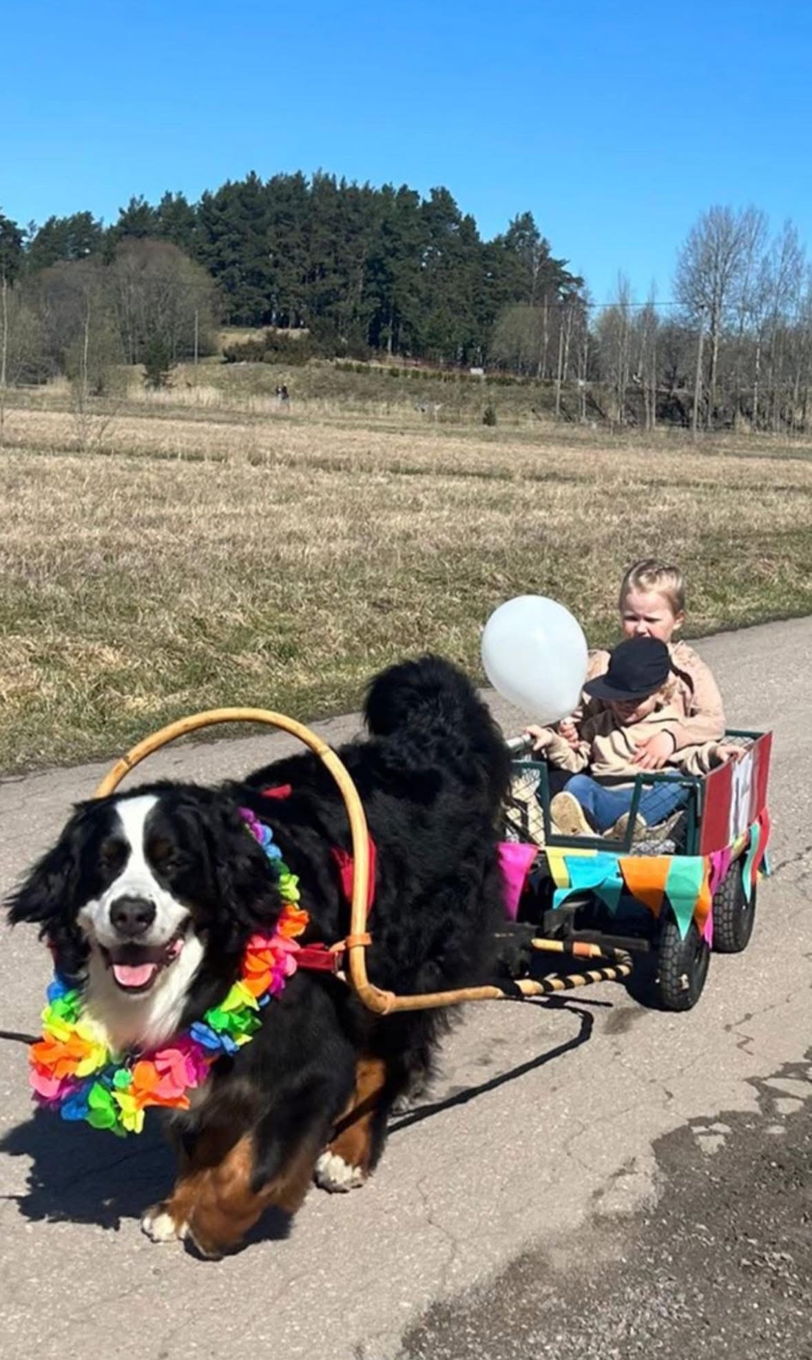 Tapahtuman lisäkuva