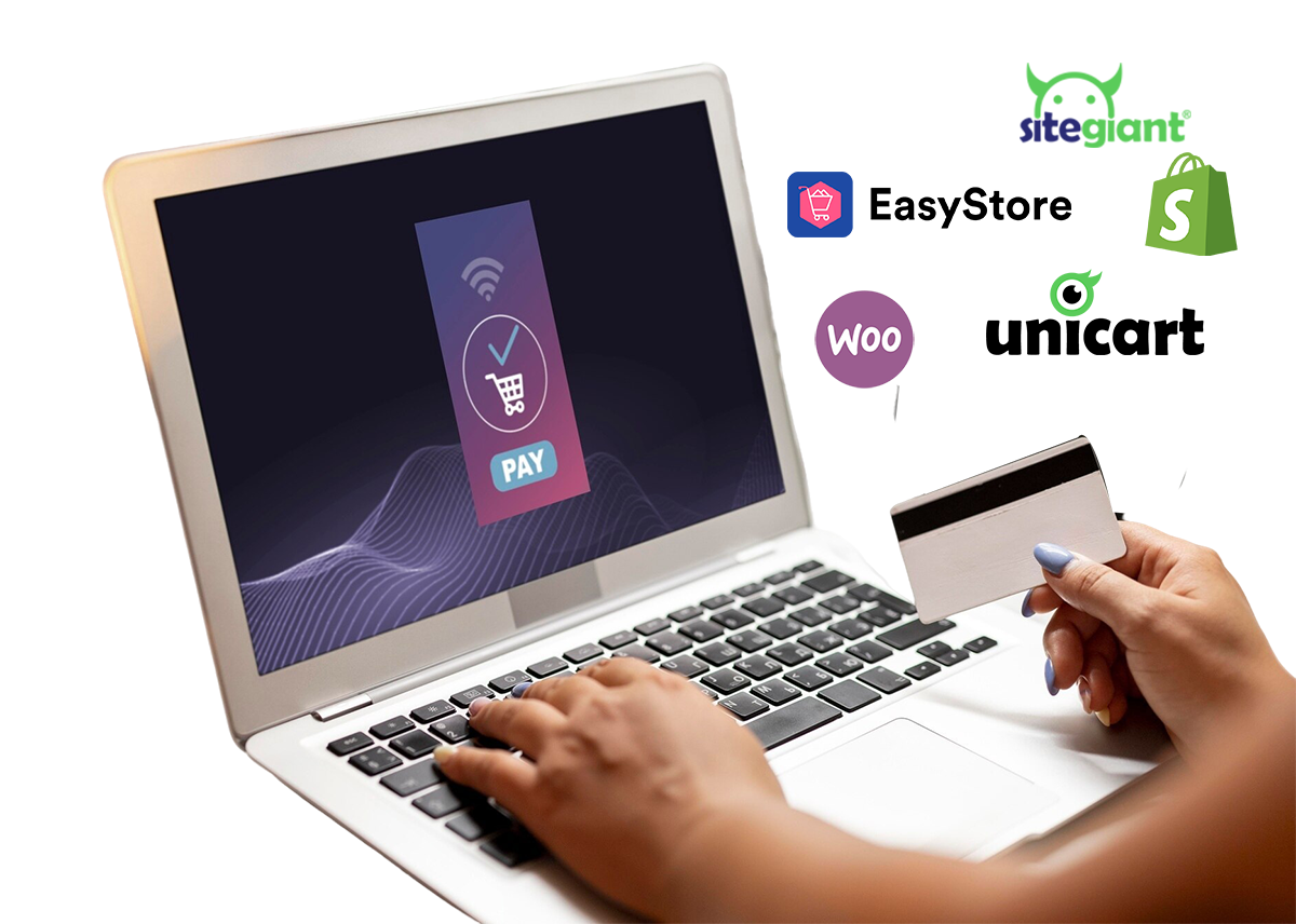 Online Payment