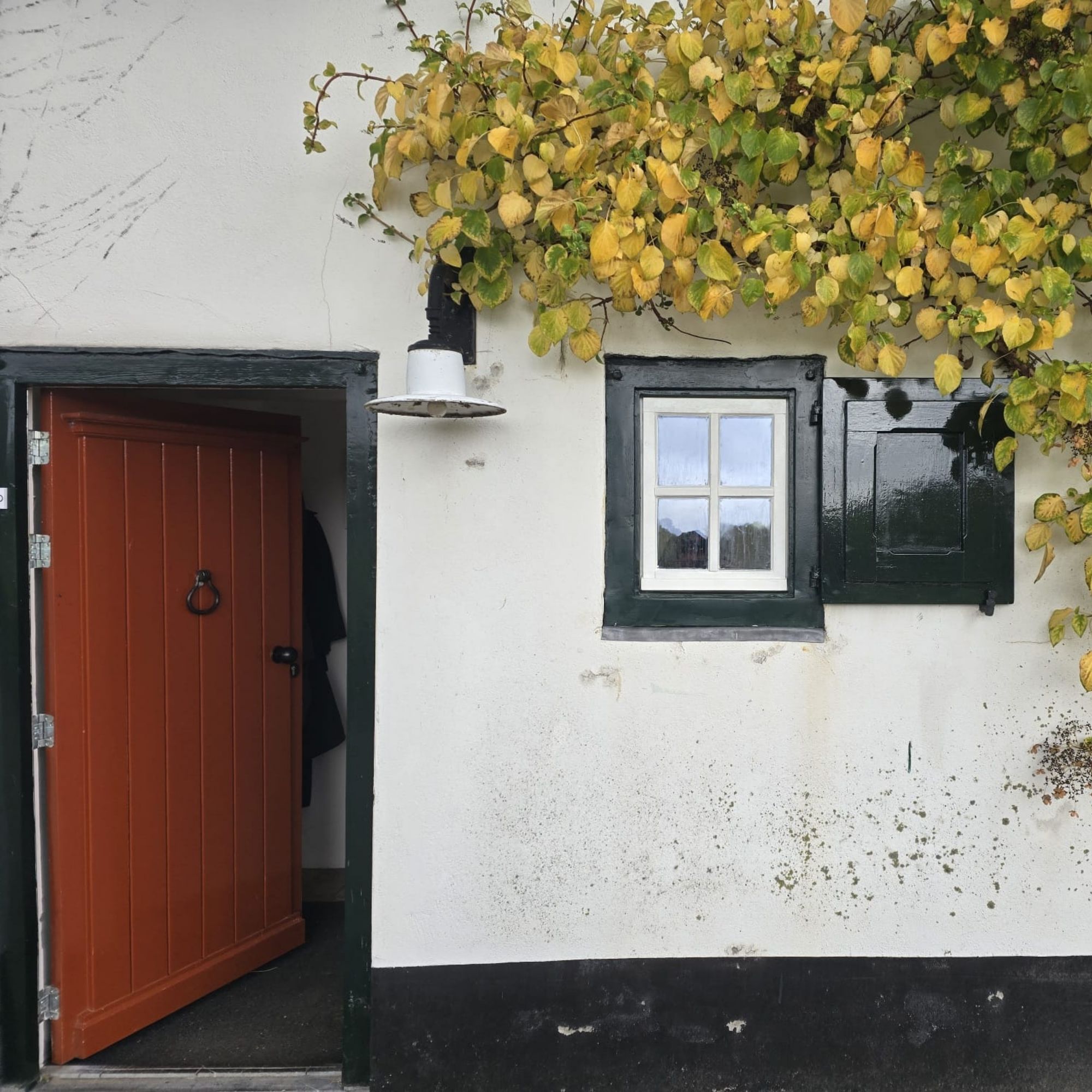 Restauratie raam door Michael Crijns, eigenaar Michael's Woodwork en Off-grid projecten specialist Maastricht Nederland
