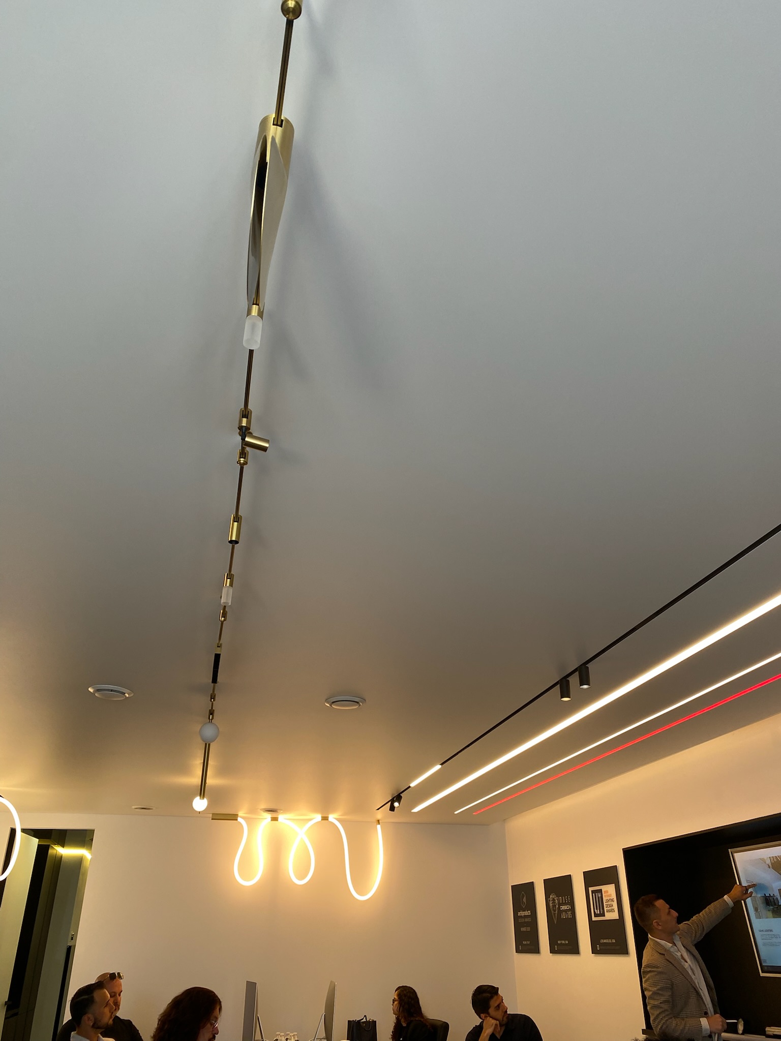 Stretch Ceilings and Track Lighting