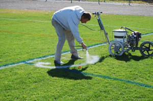 Turf Painting & Lining