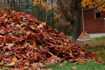 Seasonal Cleanups