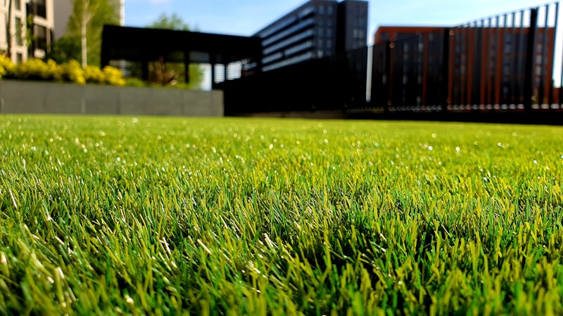 Professional lawn maintenance