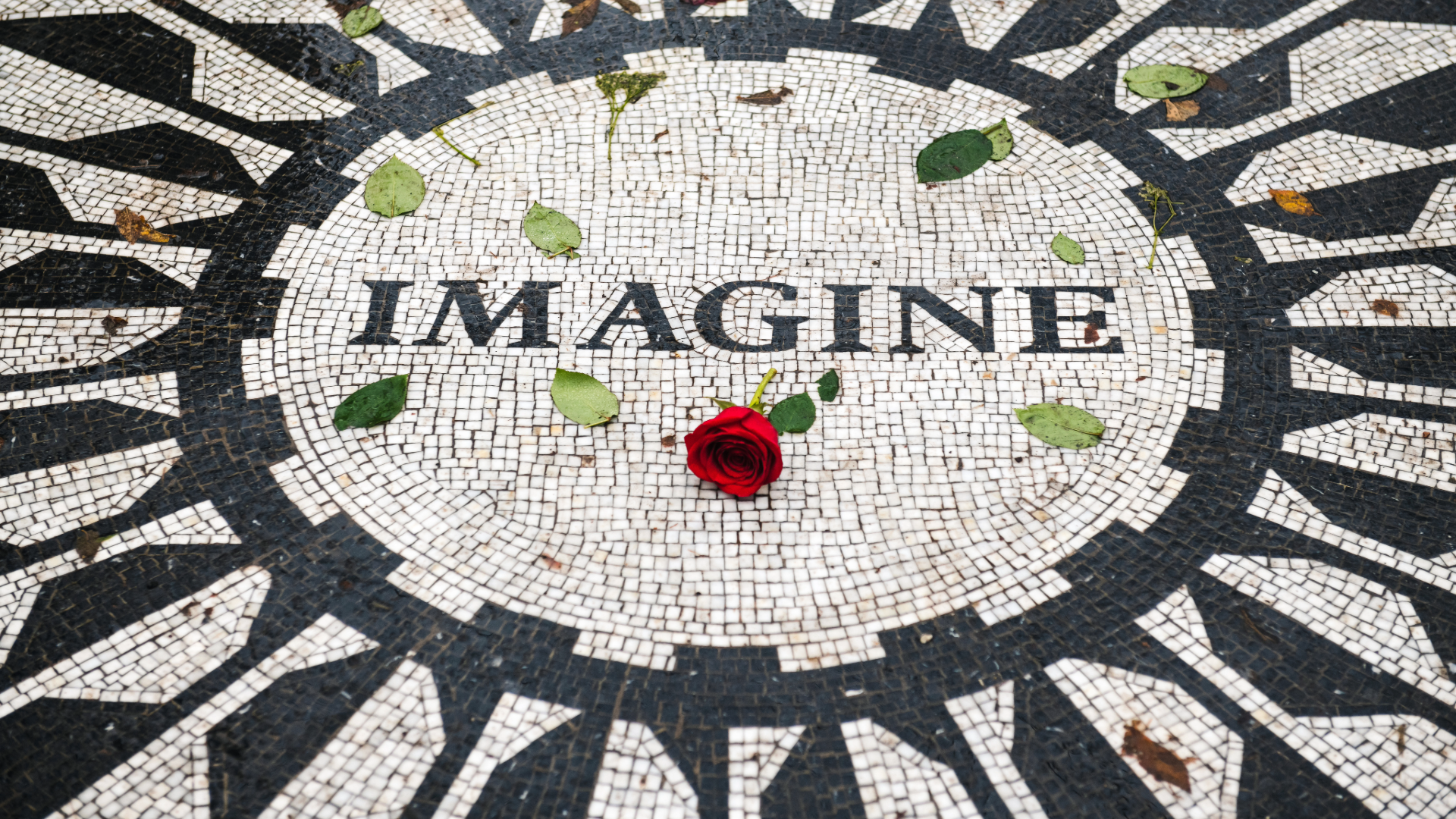 Tour Privado Alto y Bajo Manhattan - Imagen 20